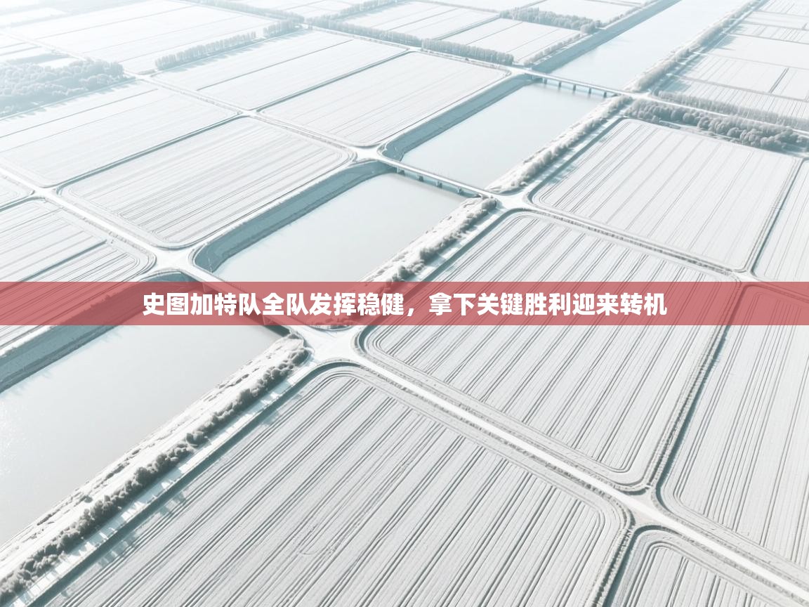 史图加特队全队发挥稳健，拿下关键胜利迎来转机  第1张